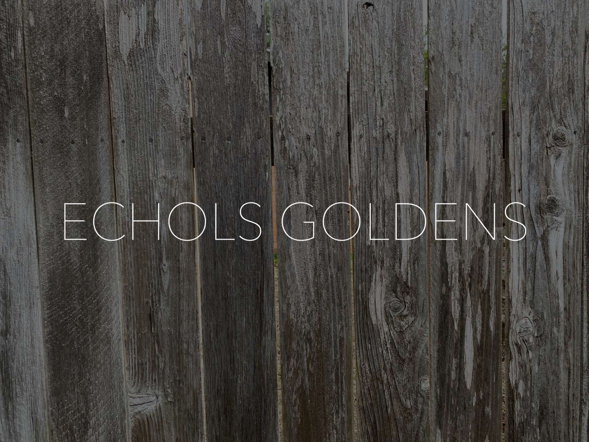 Echols Goldens